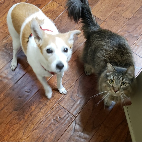 Meet your Posher, Stacy - Picture 5 of 5